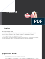 Histología Dentina Libro Atlas Gartner