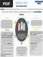 Sindrome de Liddle