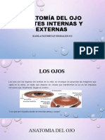 8.-Anatomia Del Ojo Partes Internas y Externas