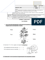 PRUEBA DE CIENCIAS NATURALES CARACT DE Las Plantas Octubre.