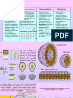 Propiedades Características Funciones: Composición Química