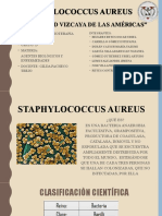 Staphylococcus Aureus Fis - 1D - E1