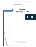 Big Data Maturity Matrix v1.0