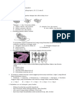 Soal Intensifikasi Biologi I