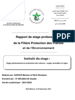 Rapport de Stage Professionnel ..