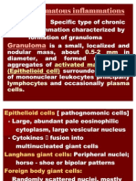 Granulomatous Inflammation 4