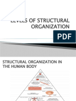 Levels of Structural Organization