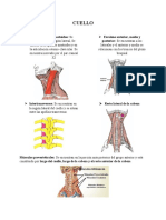 Cuello