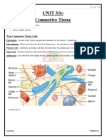 3b. Connective Tissue 228