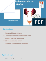 Infección Del Tracto Urinario: Rodrigo Aguilar Cossío Rote: Nefrologia