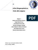 Ciclo Biogeoquimico Del Oxigeno