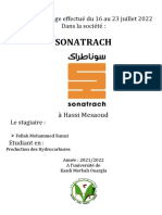 Rapport de Stage - RIAD PDF