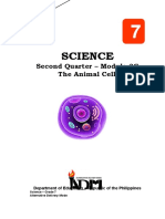 The Animal Cell