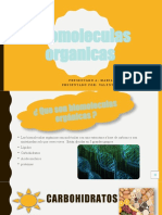 Biomoleculas Organicas