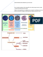 RESUMEN MICROBIOLOGÍA AMBIENTAL para Final 2022..