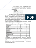 Informe Lecitina