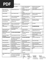 Pauta de EvaluaciÃ N de Riesgo