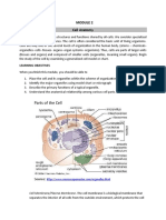 Module 2 - Cell Anatomy