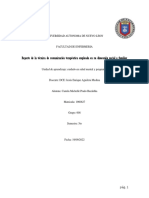 2.1 Reporte de La Técnica de Comunicación Terapéutica Empleada en Su Dimensión Social o Familiar