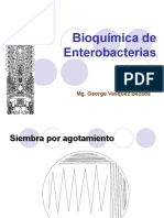 Pruebas Bioquimicas