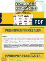 Principios Procesales