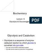 Glycolysis and Gluconeogenesis