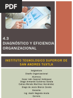 4 3 Diagnostico y Eficiencia Org