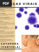 Revista - Catapora 