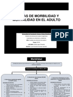 Causas de Morbi-Mortalidad en El Adulto