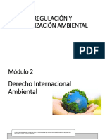 2 DERECHO INTERNACIONAL AMBIENTAL - Tata Quitian