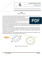 FT3 - Ciclo Celular