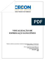  Relatório Prática Esfregaço Sanguíneo 