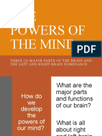 Left and Right Brain Dominance