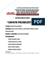 Zapato Piezoeléctrico