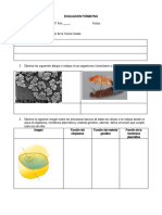 Evaluacion Formativa Celula Quinto 2016
