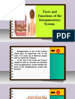 Science 6 - Q2 - L2 - Parts and Functions of The Integumentary System