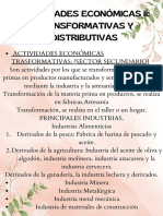 Actividades Económicas Ii Transformativas y Distributivas