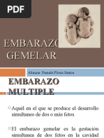 Embarazo Gemelar