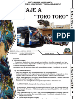 Informe de Viaje