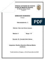 Ensayo - Derechos Humanos