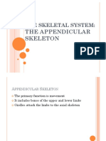 Appendicular Skeleton