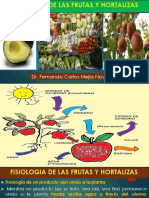 Fisiologia de Las Frutas y Hortalizas