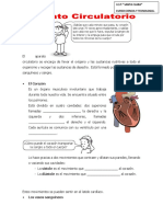 Sistema Circulatorio