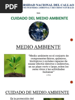 Cuidado Del Medio Ambiente