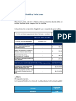 CASO 6 - Presupuesto Flexible