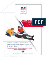 Recommandations 2019 Premiers Secours en Équipe PSE1 Et PSE2