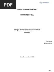 Relatório Pronto Enzo 123