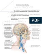 GUIA DE ANATOMÍA SESIÓN 9 Sistema Venoso y Linfático Grupo 4