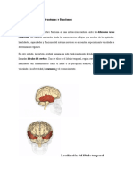 Resumen de Neuro