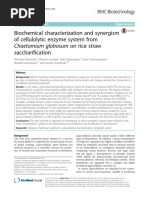 Biochemical Characterization and Synergism